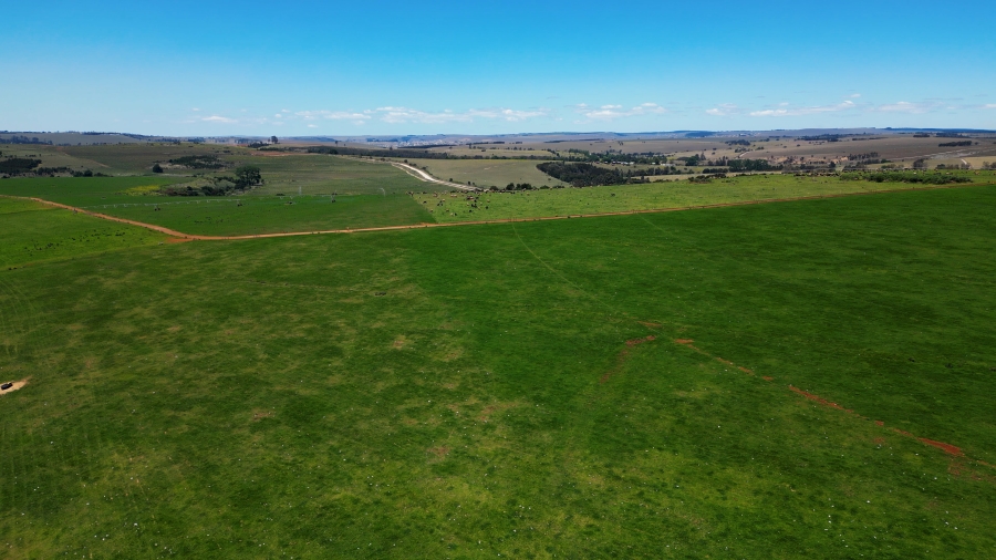 0 Bedroom Property for Sale in Stutterheim Rural Eastern Cape